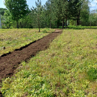 Sklypų paruošimas, apleistų sklypų frezavimas Kaunas MB "Domvaita" nuotrauka 6