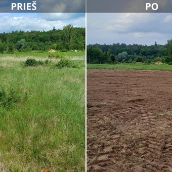 Žolės pjovimas Kaunas MB "Domvaita" nuotrauka 1