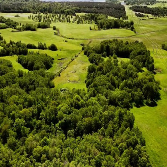 Nekilnojamojo turto paruošimas pardavimui Vilnius Tomas Žakevičius nuotrauka 5