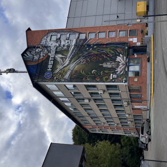 Grafiti piešimas Vilnius WallCraft studio nuotrauka 5