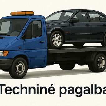 Tralo paslaugos Vilnius Edmundas nuotrauka 1