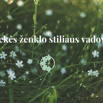 Brandbook'as/ Prekės ženklo stiliaus vadovas Vilnius MB Grafinio dizaino sprendimai nuotrauka 14