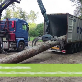 Video montavimas Kaunas Žygimantas Pipiras nuotrauka 1