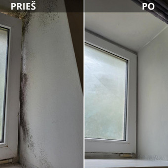 Pelėsio naikinimo bei jo atsiradimo priežasčių, šalinimo darbai visoje Lietuvoje. Garantuojame profesionalias paslaugas bei objektyvius patarimus. Kaunas HD Clean nuotrauka 13 Pelėsio naikinimas Kaunas HD Clean nuotrauka 13