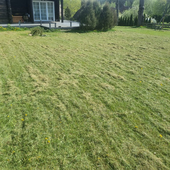 Vejos aeravimas Kauno rajonas MB Žolvita nuotrauka 2