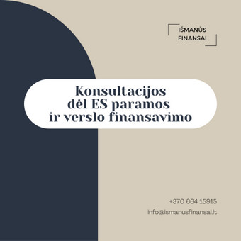 Konsultacijos dėl ES paramos ir verslo finansavimo Prienų rajonas Išmanūs finansai nuotrauka 4