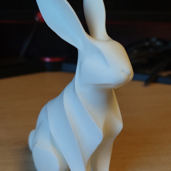 3D spausdinimas Panevėžys Gintautas R. nuotrauka 10