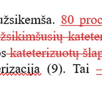 Baigiamųjų darbų redagavimas Vilnius Miglė Lekešytė nuotrauka 6