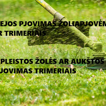 Vejos pjovimas vejapjove ir/ar trimeriu. Aukšos žolės ar pleistų sklypų žolės pjovimas. Vejos skarifikavimas, aeravimas, tręšimas, piktžolių naikinimas, sąmanų naikinimas. Tel 060787674 Kaunas Vejos priežiūra, aukštos žolės pjovimas nuotrauka 1 Žolės pjovimas Kaunas Vejos priežiūra, aukštos žolės pjovimas nuotrauka 1