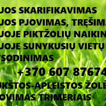 tliekame vejoje sunykusių ar išplykusių vietų išlyginimą ir atsėjimą, skarfikavimą, trešimą, pjovimą, nakinimą piktžolių.Galimi susitarimai dėl nuolatinės vejos priežiūros paslaugų. Tel. +37060787476 Kaunas Vejos priežiūra, aukštos žolės pjovimas nuotrauka 4 Vejos įrengimas: sėjimas, ruloninė veja Kaunas Vejos priežiūra, aukštos žolės pjovimas nuotrauka 4