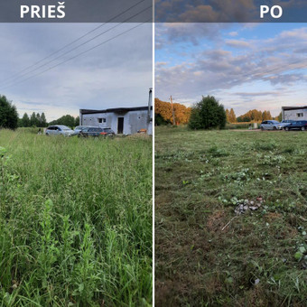 Atliekame pievų žolės ar apleistų sklypų aukštos žolės pjovimą trimeriais.
Tel. 060787674 Kaunas Vejos priežiūra, aukštos žolės pjovimas nuotrauka 3 Pievų šienavimas Kaunas Vejos priežiūra, aukštos žolės pjovimas nuotrauka 3