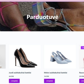 El. parduotuvių kūrimas Vilnius WebJums nuotrauka 2