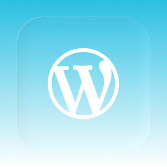 Programavimas su WordPress Vilnius DigiSpec | Vaidas Buslavičius nuotrauka 6