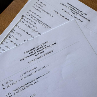 Vertimai iš lietuvių / anglų į italų kalbą (bendriniai tekstai) Kaunas irene lo castro nuotrauka 2