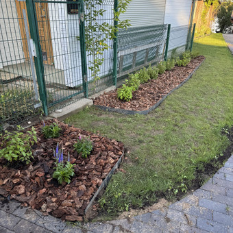 Kiemo, aplinkos apželdinimas Vilnius Julija Kalinauskytė nuotrauka 5