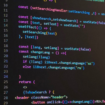 C++ programavimo pamokos Kaunas IT mokytoja nuotrauka 2