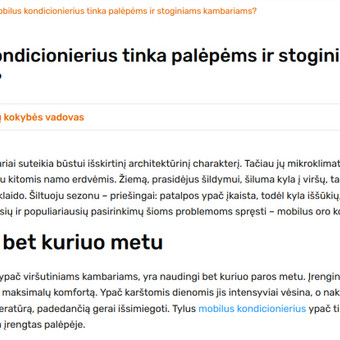 SEO straipsnių rašymas Klaipėda Plunksnos Istorija nuotrauka 4