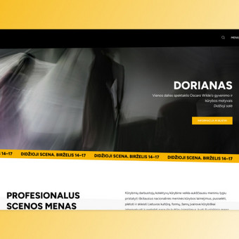 Tinklalapių dizaino kūrimas (UI / UX) Kaunas Tinklapių ir prekinio ženklo dizainerė. nuotrauka 7