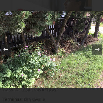 Zaliuju atlieku isvezimas Kaunas BrumPervezimai nuotrauka 22