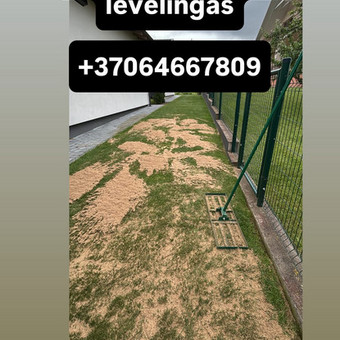 Levelingas Vilnius Artūras Kupčia nuotrauka 8
