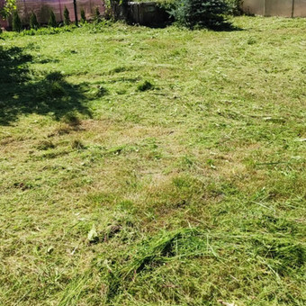 Žolės pjovimas trimeriais Kauno rajonas UAB Sadvaita nuotrauka 4