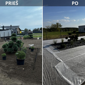 Kiemo, aplinkos apželdinimas Kaunas ŽALTA nuotrauka 7