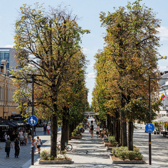 Ekskursijų rengimas po vietovę lietuvių kalba Kaunas Alvydas nuotrauka 1