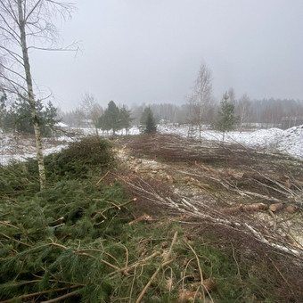 Žolės pjovimas mulčiavimas Vilnius MB Environfix nuotrauka 9
