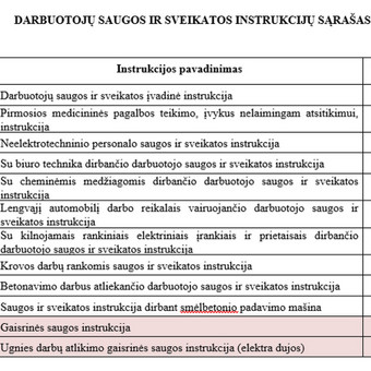 Darbuotojų saugos ir sveikatos instrukcijos Šiauliai DSS specialistė Agnė nuotrauka 1