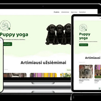 El. parduotuvių kūrimas Vilnius Amber Web nuotrauka 1