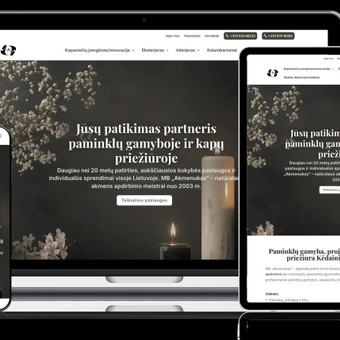 Svetainių kūrimas Vilnius Amber Web nuotrauka 3