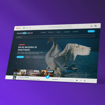 Svetainių dizainas (web design) Kaunas Justas Radvila / MB Gotidea nuotrauka 1
