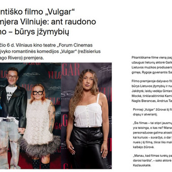 Straipsnio parengimas Kaunas Kristina Berksun nuotrauka 13