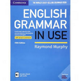 IELTS kursai, ruošimas IELTS egzaminui Vilnius Egle nuotrauka 8