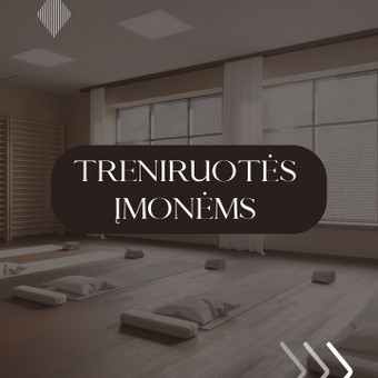 Grupinės treniruotės įmonėms Kaunas Karina Kanėvskytė nuotrauka 5
