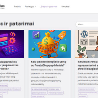 HTML/CSS kodavimas Marijampolė Rytis Bukauskas nuotrauka 9