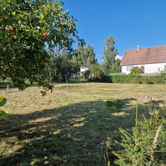 Pievų šienavimas Kaunas Pjaunam Žolę nuotrauka 2