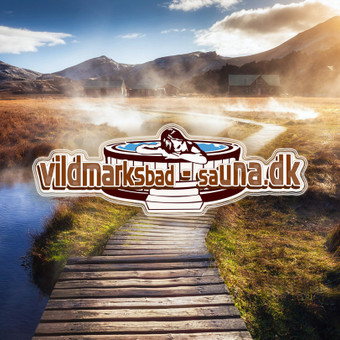 Svetainių dizainas (web design) Trakų rajonas EINARAS VILDE nuotrauka 1
