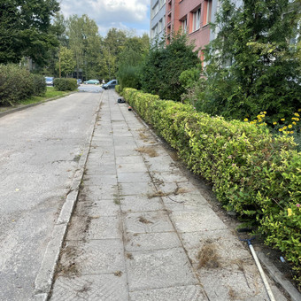 DNSB priežiūra Kaunas Vytas Bukaitis nuotrauka 7