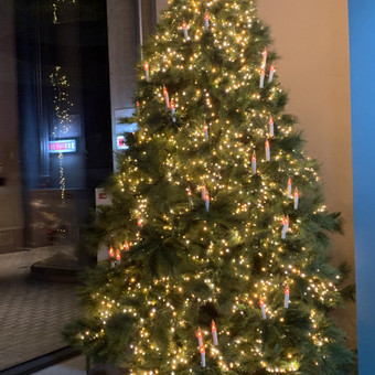 Kalėdinis, šventinis dekoras Vilnius GAJA DECOR (UAB Gėlių Aveniu) nuotrauka 2