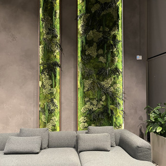 Interjero, eksterjero dekoras augalais Vilnius GAJA DECOR (UAB Gėlių Aveniu) nuotrauka 1