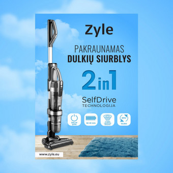 Plakatų maketavimas Kaunas Erika Vi nuotrauka 8