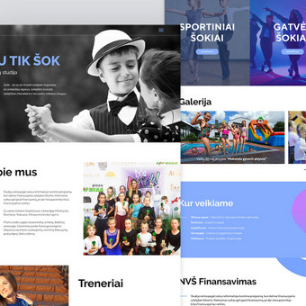 Svetainių dizainas (web design) Kaunas Erika Vi nuotrauka 3