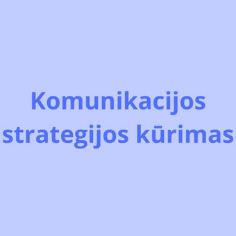 Socialinių tinklų komunikacijos strategijos kūrimas Vilnius Ieva Citrinavičiūtė nuotrauka 5