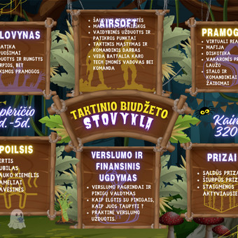 Reklamos internete kūrimas Vilnius Thinkfin nuotrauka 3