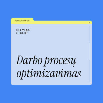 Darbo procesų optimizavimas Vilnius No Mess Studio nuotrauka 27