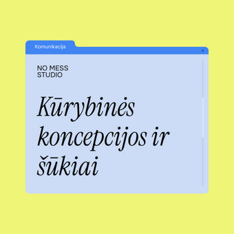 Kūrybinės koncepcijos ir šūkiai Vilnius No Mess Studio nuotrauka 18