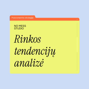 Rinkos tendencijų analizė Vilnius No Mess Studio nuotrauka 14
