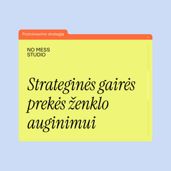 Strateginės gairės prekės ženklo auginimui Vilnius No Mess Studio nuotrauka 16