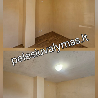 Pelėsio naikinimo paslaugos Vilnius MB Molderis nuotrauka 1